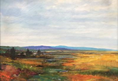 Platte Marsh by Dan Boylan